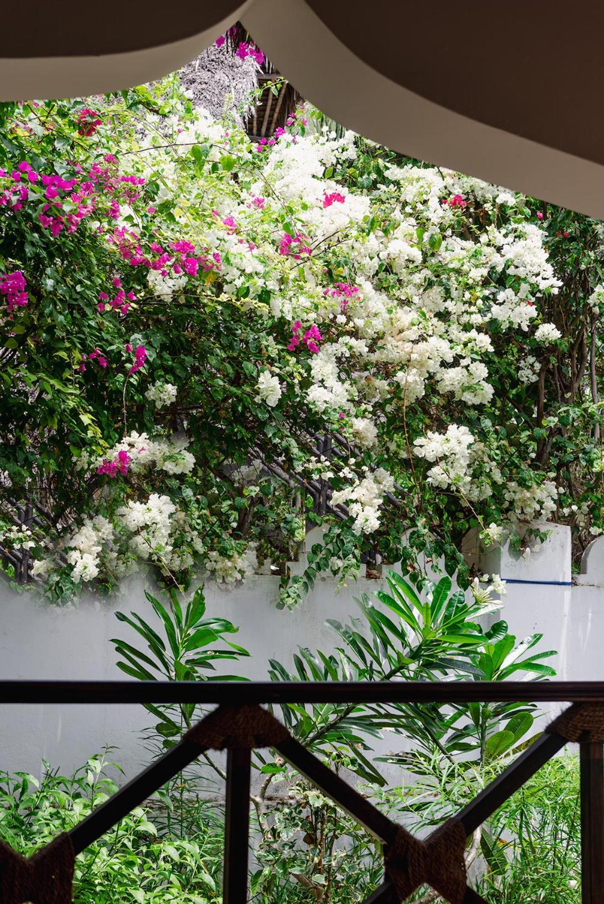 Zanzibar Retreat 4*