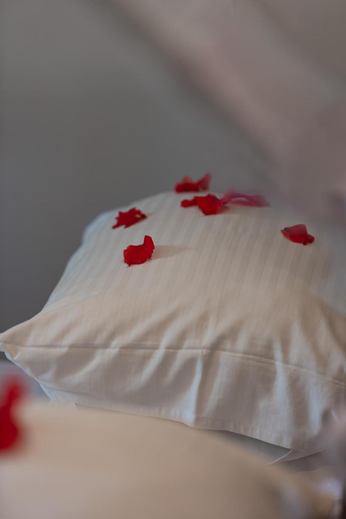 Hotel Zanzibar Retreat 4*