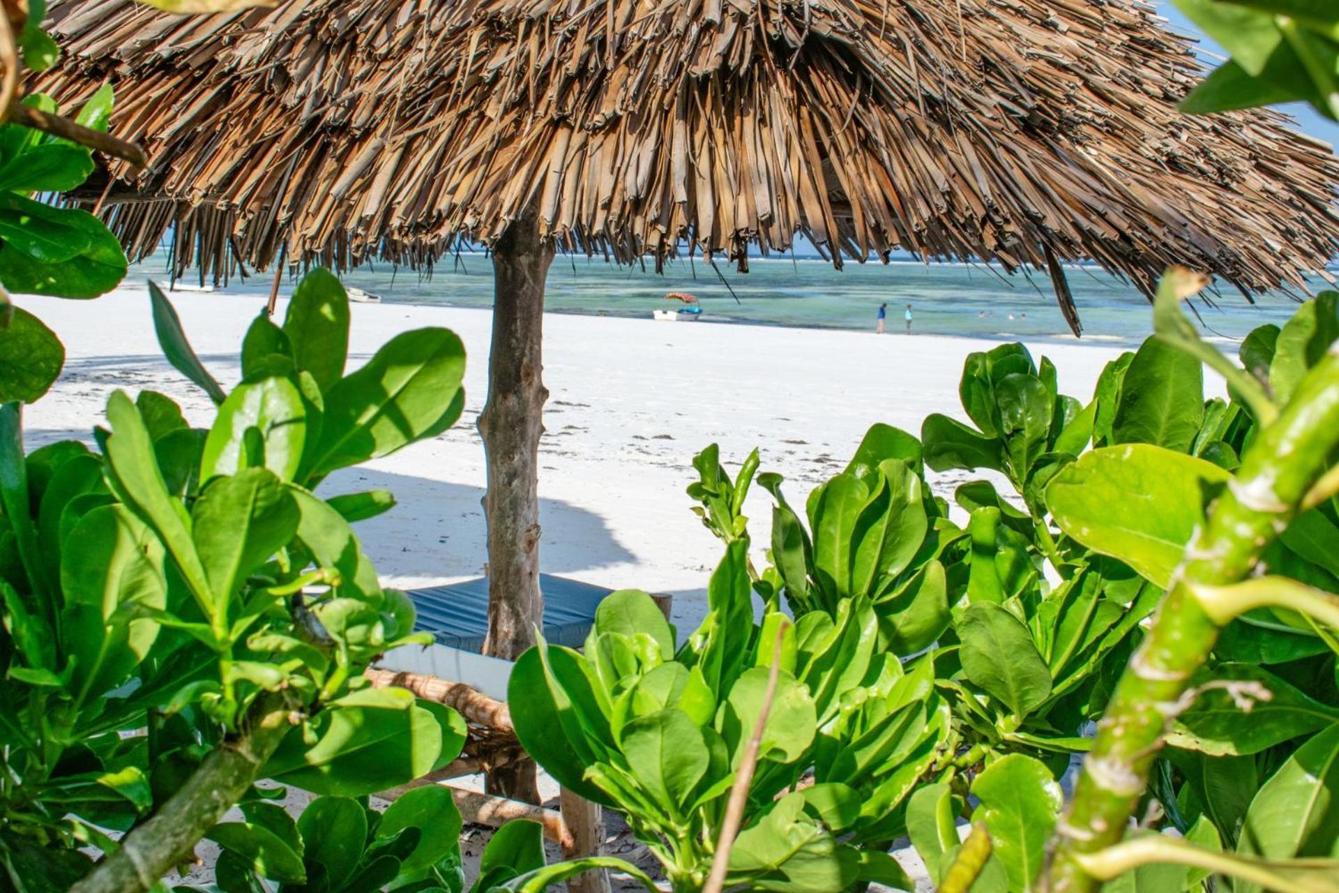 Zoi Retreat Zanzibar